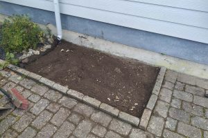 bed1-499